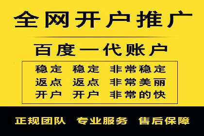 提升SEM投放转化率的实战案例分析